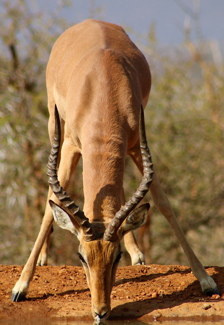 Student Safaris in Rwanda