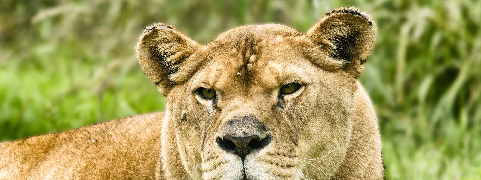 Tanzania Travel Destinations