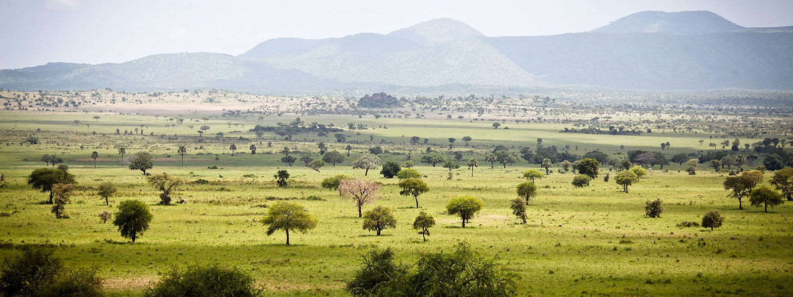 Uganda Travel Destinations