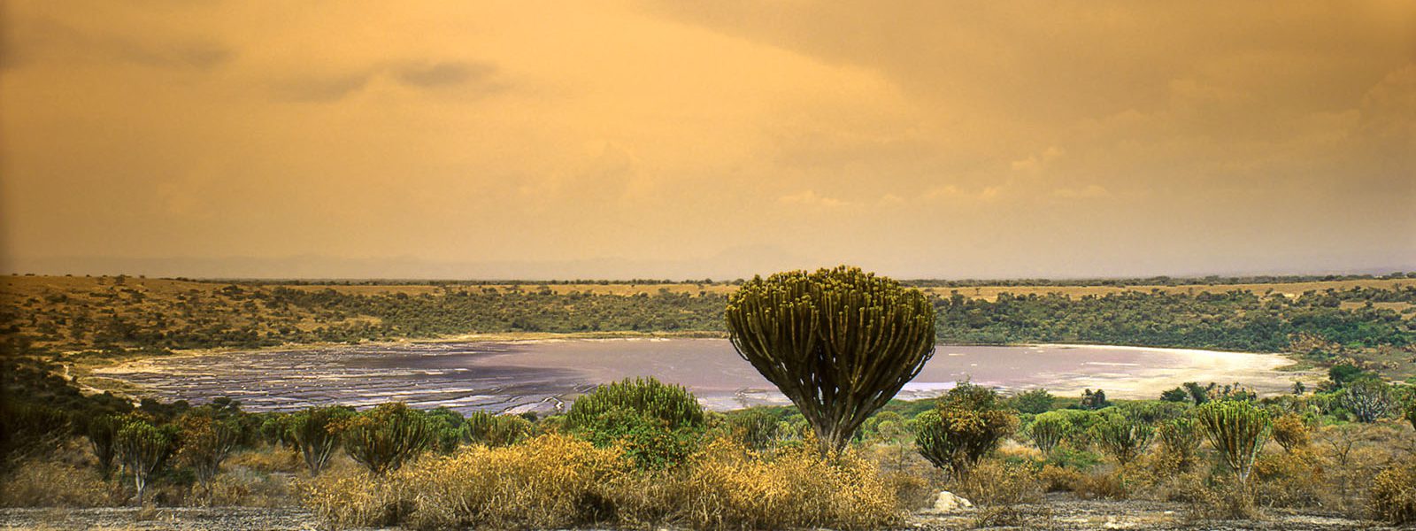 Queen Elizabeth National Park Uganda