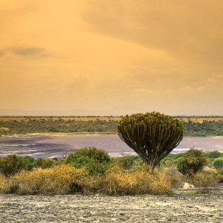 Queen Elizabeth National Park Uganda