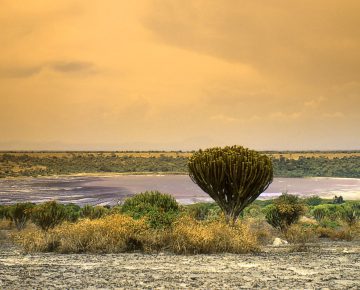 Queen Elizabeth National Park Uganda
