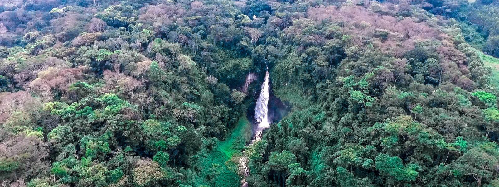 Kahuzi-Biega National Park Congo