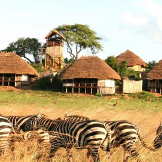 Kidepo Valley National Park