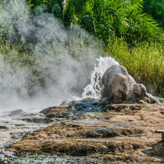 Semuliki Valley National Park