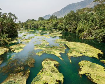 Virunga National Park Congo