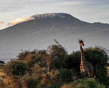 18 Days East Africa Adventure Holiday
