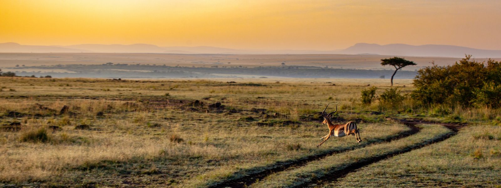 9 Days Explore Kenya Safari