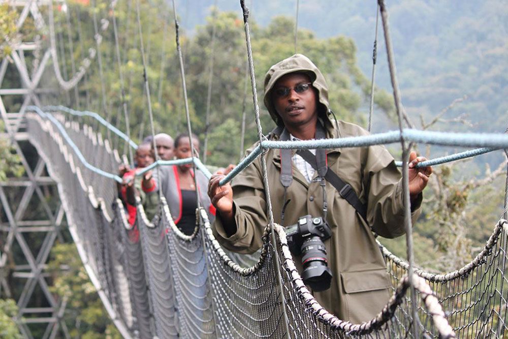Canopy walkway in Nyungwe Forest National Park, Rwanda