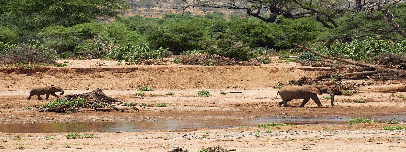 Ewaso Nyiro river landscape in Samburu National Reserve