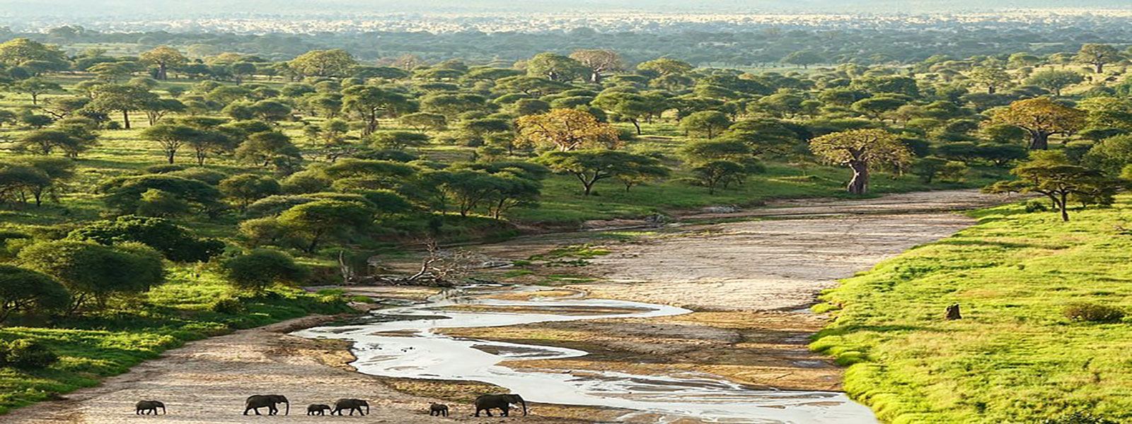 Tarangire River winding through Tarangire National Park